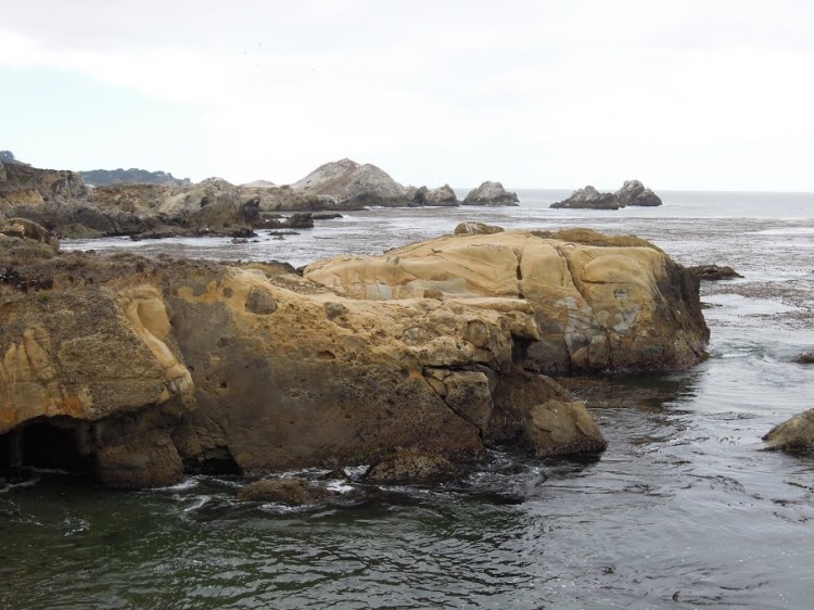 PointLobosStateReserve1