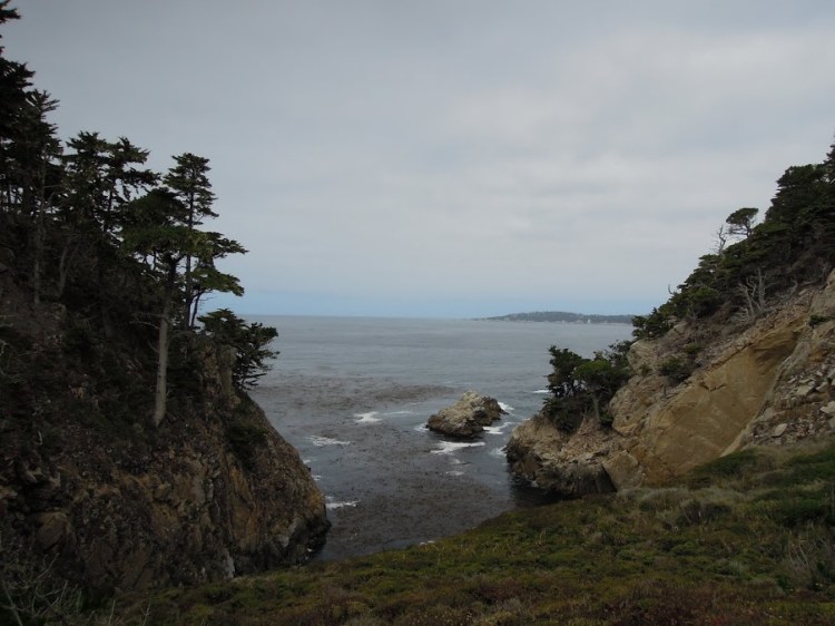 PointLobosStateReserve13