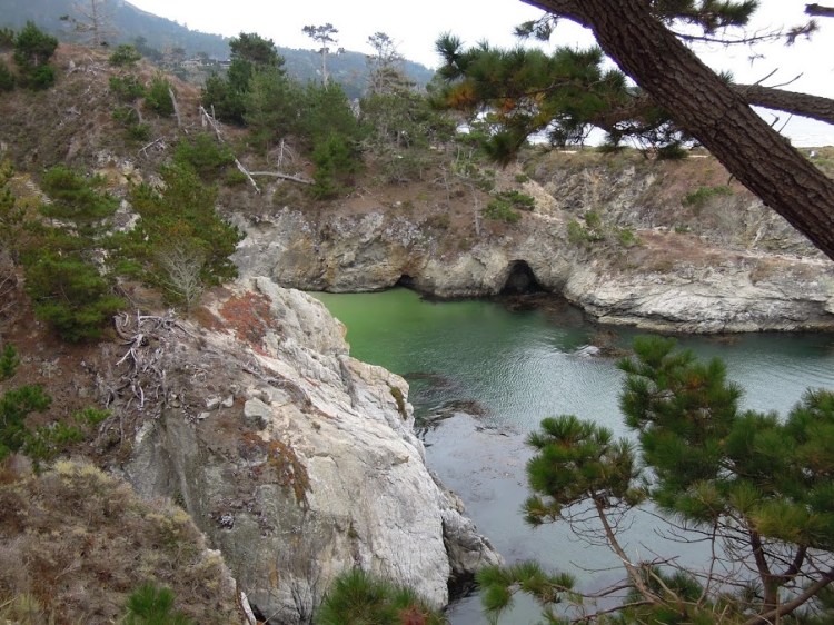 PointLobosStateReserve3