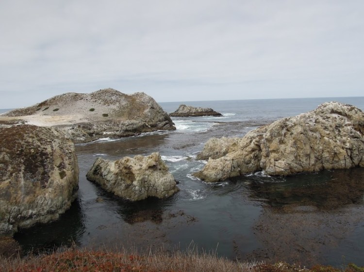 PointLobosStateReserve7