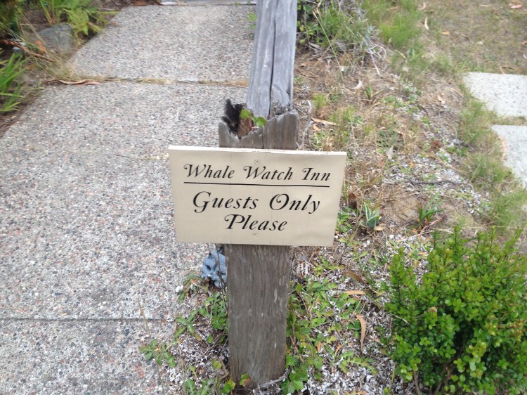 Steps that walk down to the beach