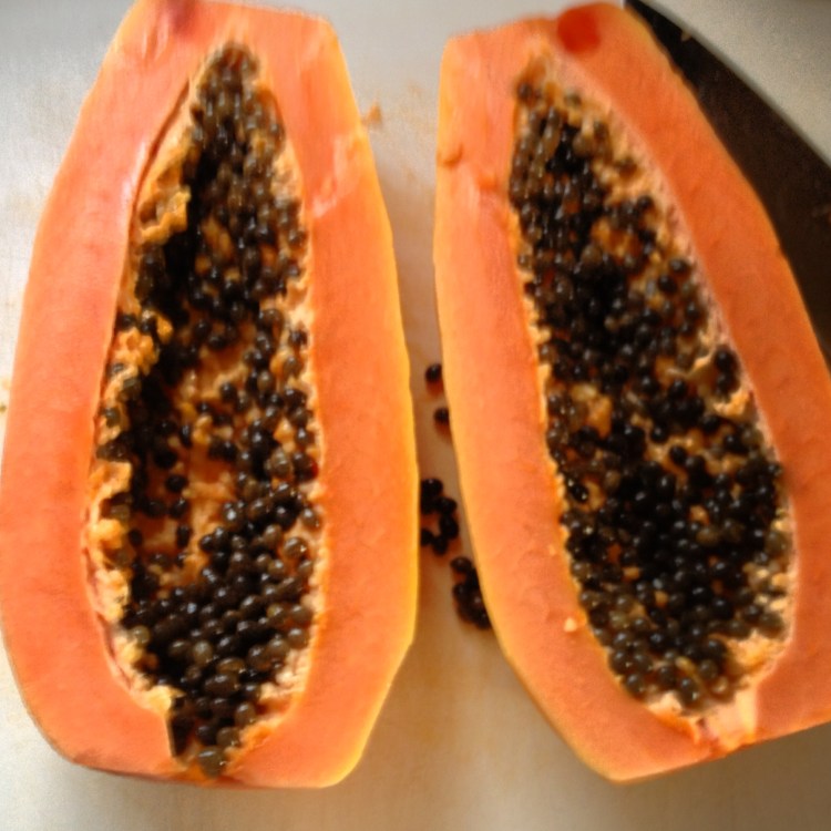 Papaya. Day3.
